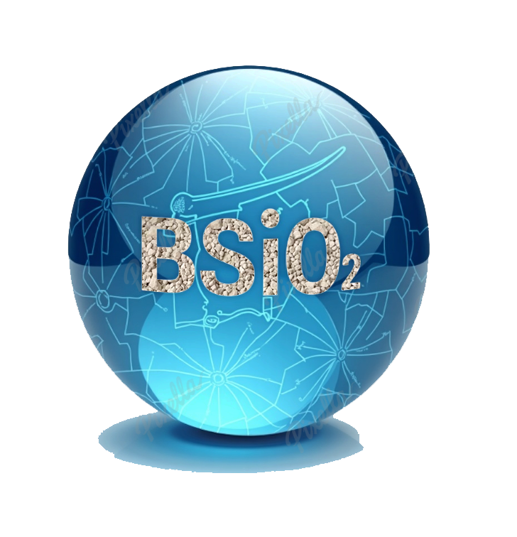 BSiO2 Pty Ltd Logo